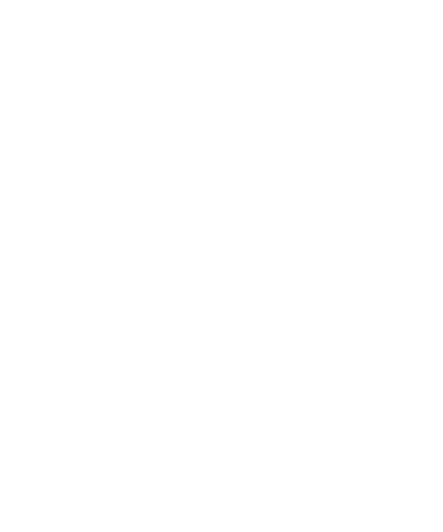 Vienna Vikings Warriors